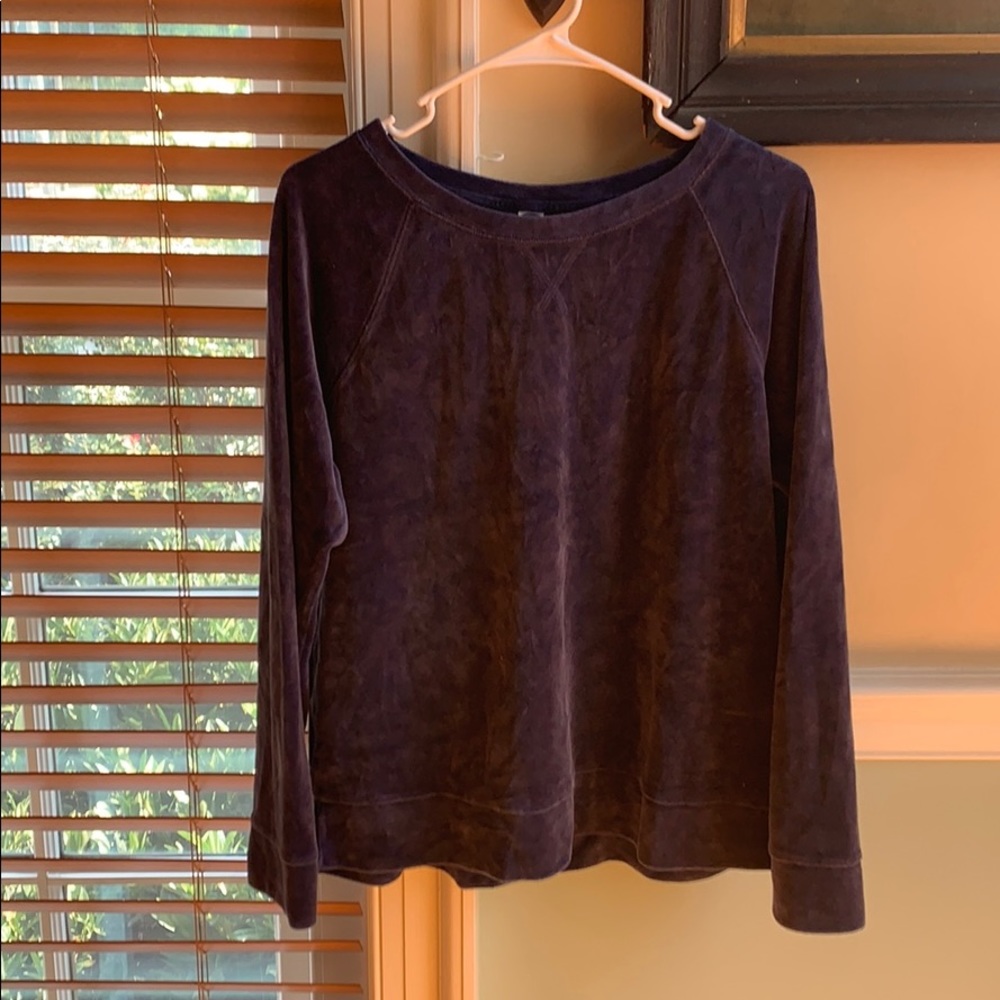 Velvet Sweatshirt